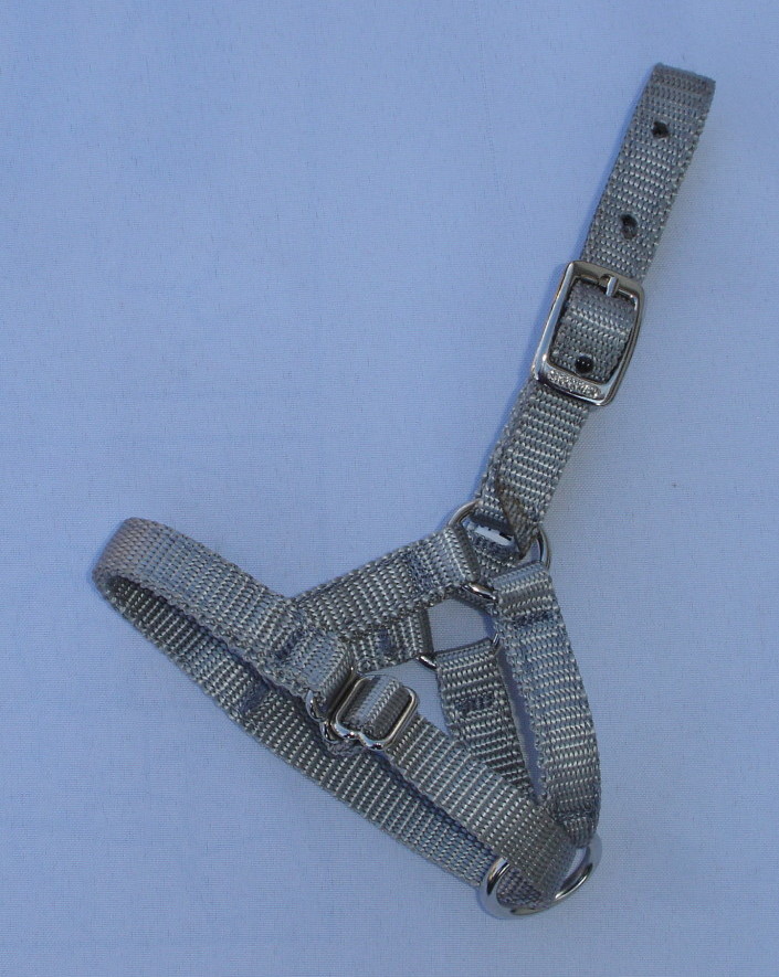 Halter Alpaca Adjustable Silver